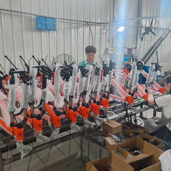 QINGDAO BESTRIDING SPORTS CO.,LTD 製造者の生産ライン