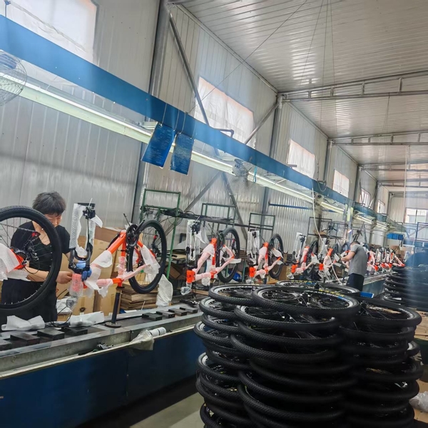 QINGDAO BESTRIDING SPORTS CO.,LTD 製造者の生産ライン