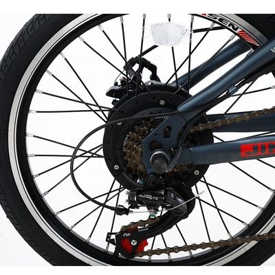 20インチ折りたたみの電気自転車 36v 6 SPEED 外出サイクリング用の取り外れるリチウム電池