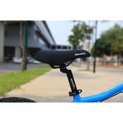 アルミ合金枠 バイシケラ KIDS BIKE 青色 子供向け SUPER-20インチ 10kg 総重量