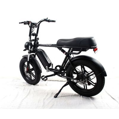 35kg アルミ合金フレーム 電動脂肪タイヤ E自転車 長距離 48v 750W/1000W モーター
