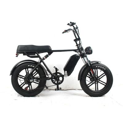 35kg アルミ合金フレーム 電動脂肪タイヤ E自転車 長距離 48v 750W/1000W モーター