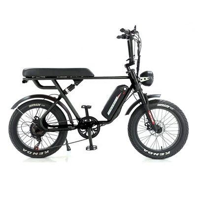 35kg アルミ合金フレーム 電動脂肪タイヤ E自転車 長距離 48v 750W/1000W モーター