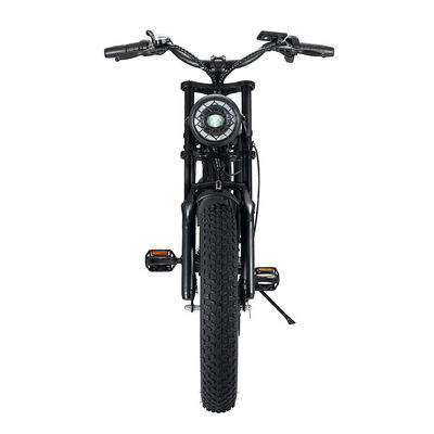 強力な750WV8モーター 20インチ脂肪タイヤ 48V 15ahバッテリーと電気マウンテンバイク
