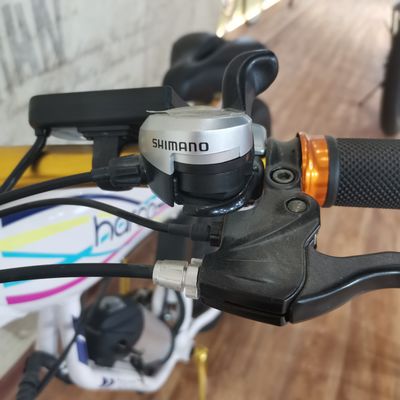48V 500W パワー電動自転車 運動バランスとレトロヴィンテージエバイクアドベンチャー