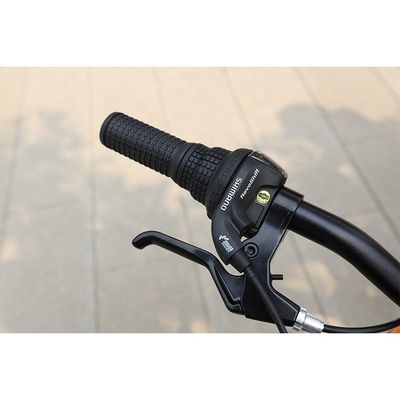 20 インチ キッズ バイク ソフトテール フレーム 赤/青 トレーニングホイール 3-8歳
