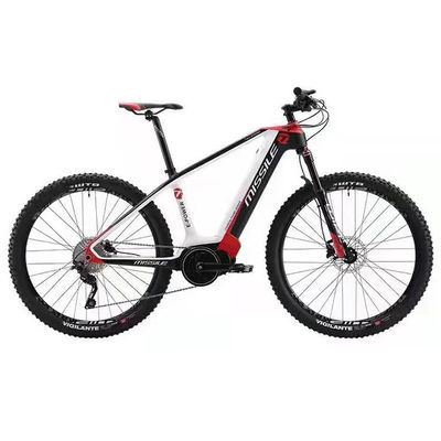 ブラシレスモーター付きの電気都市自転車 人気スタイルのフルカーボンファイバーロードバイク