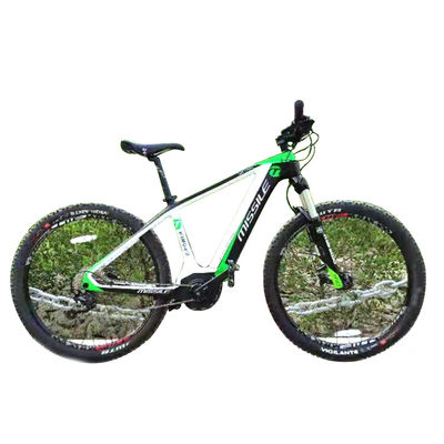 ブラシレスモーター付きの電気都市自転車 人気スタイルのフルカーボンファイバーロードバイク
