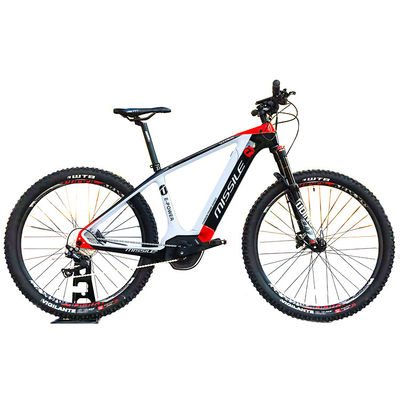ブラシレスモーター付きの電気都市自転車 人気スタイルのフルカーボンファイバーロードバイク