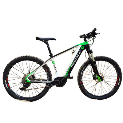 ブラシレスモーター付きの電気都市自転車 人気スタイルのフルカーボンファイバーロードバイク