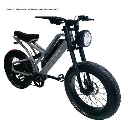 フロントフォーク懸垂 20 インチ 電気都市自転車 都市通勤者 48V エバイク