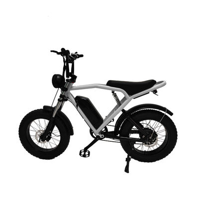 後部ハブモーター 20*4.0' 脂肪タイヤ 電気自転車 市場向けEバイク