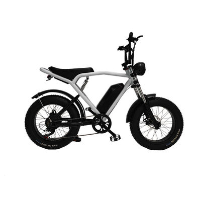 後部ハブモーター 20*4.0' 脂肪タイヤ 電気自転車 市場向けEバイク