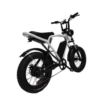 後部ハブモーター 20*4.0' 脂肪タイヤ 電気自転車 市場向けEバイク