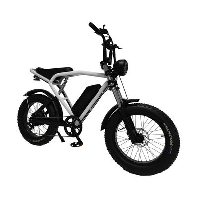 後部ハブモーター 20*4.0' 脂肪タイヤ 電気自転車 市場向けEバイク