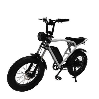 オフロード 20*4.0 ケンダタイヤ 電動自転車