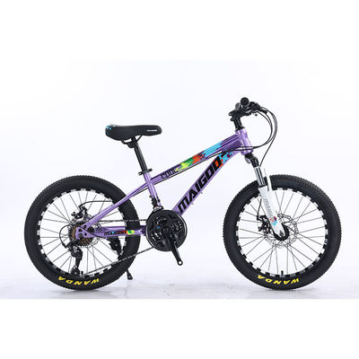 20*2.125 WANDA タイヤ 鋼筋枠 21スピード 機械式ディスクブレーキ付き 子供用の自転車