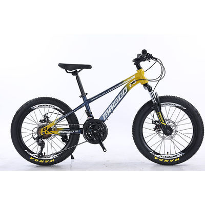20インチ 21s キッズ自転車 オーダーメイドロゴとアルミ合金輪材の子供自転車