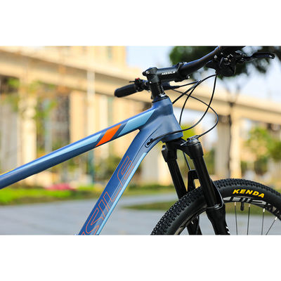 22 スピードギア カーボン・スティール クール スポーツ自転車 MTB 男性 29インチ マウンテン・バイク