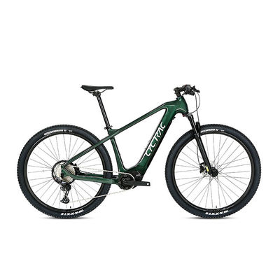 リモコン制御 電動自転車 M510 ミッドドライブ 48V 13Ah リチウムバッテリー