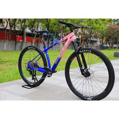 双吊り 29インチ マウンテンバイクで 次のレベルへ
