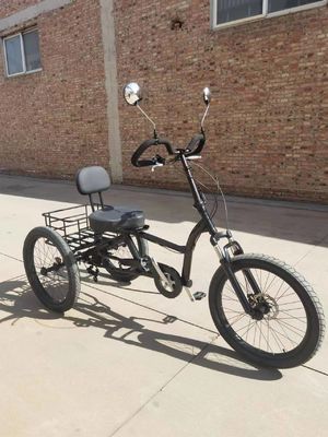 アルミペダル 自動車用 トライサイクル 大人用 人気 デザイン 電動 貨物 三輪車