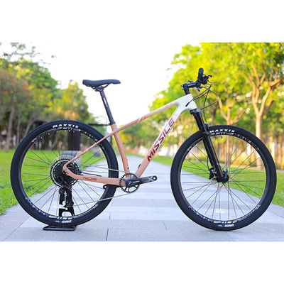 29インチ大きな車輪と160mmのブレーキパッドを持つ水力ディスクブレーキ合金マウンテンバイク