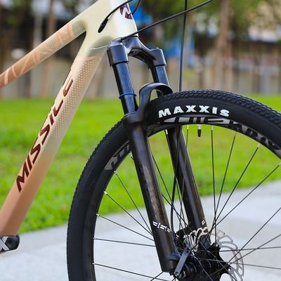 アルミ合金フォーク 29 インチ マウンテンバイク 液圧ディスクブレーキとフロントサスペンション