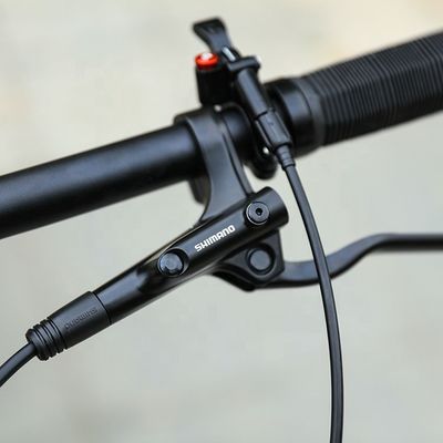 29インチサポート OEM マウンテンバイク YBN S12S チェーン 12 スピード MTB 2022 ハードフレーム