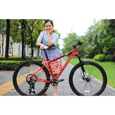 軽量 27.5*15"/17" フレームサイズ Mtb 自転車 ダブルディスク ブレーキ 自転車 男性用