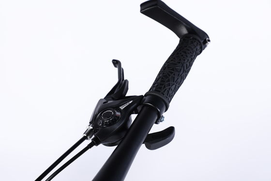 カーボン・スティール・マウンテン・バイク Mtb フォーク・サスペンションと40MMのTRIPLE WALL RIM