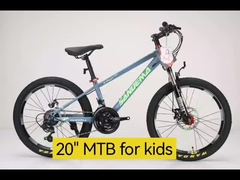 20インチMTB
