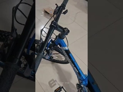 MTB ルーフ